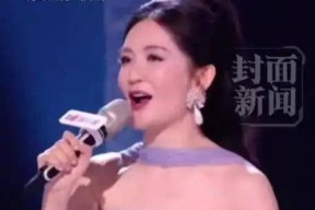 谢娜官宣演唱会引争议海淀文旅回应 一场娱乐与公共资源的边界之辩